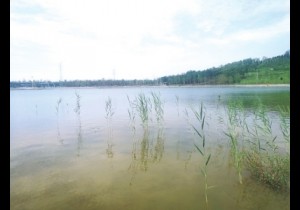 【广角聚焦】郑州牟山湿地公园成郊游新去处 “三湖四山”等你来