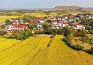 【政务之声】十三部门联合发文：鼓励社会资本参与乡村旅游建设
