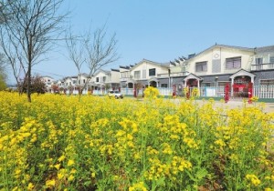 【封面】河南：美丽乡村建设为乡村振兴添活力