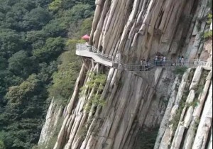 【封面】多姿多彩！四条线路游遍河南！