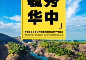 【封面】文旅融合成为河南旅游业近年发展最大特征