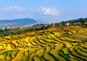 【广角聚焦】国家发文促乡村旅游发展 专家：政策支持形成合力