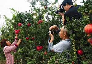 >>49个非遗项目入选河南首批传统工艺振兴目录