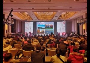 “老家河南 孟津过年”2019新春系列活动发布会成功举办