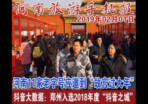 2019年02月01日 河南旅游手机报