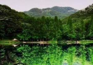 >>河南省6个国家级森林公园总体规划获批复