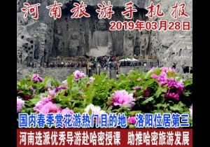 2019年03月28日 河南旅游手机报