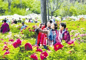 >>农村整村推进“厕所革命”将获中央财政奖补