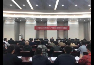 筑牢双重预防机制“防火墙” 确保河南文化旅游安全生产