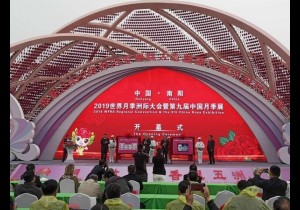 月季故里，香飘五洲！世界月季洲际大会在南阳开幕