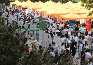 >>2019河南省文化和旅游人才交流大会5月31日启幕
