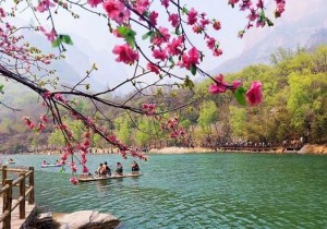 新乡清明假日文化旅游市场综述