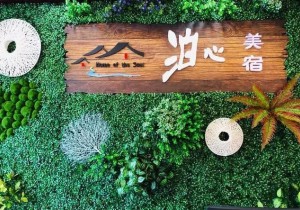 泊心美宿，把日子过成诗！