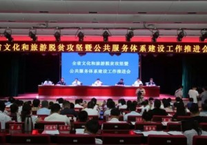 >>河南公共服务体系建设工作推进会