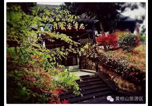 山水灵韵如诗，邂逅花潭客舍