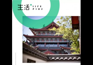 大美之间，住在关于美的一切里