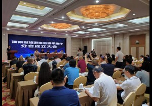 河南省旅游协会研学旅行分会正式成立