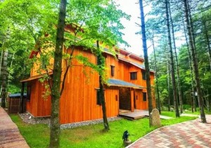 藏在白云山里的森林小屋，山水丛林间邂逅诗意梦境