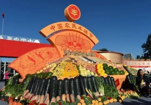 >>13部门联合发文强调 坚持农民主体办好“丰收节”