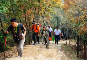 第三批国家森林步道名单公布 大别山国家森林步道途经河南309公里