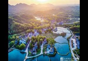 “寻找村宝”——河南省启动首届大型文化志愿公益活动，面向全省发出“寻宝使者征集令”
