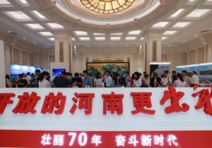 >>“河南非遗元素”闪耀国新办新闻发布会