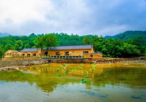 山水隐庐：诗画民宿筑梦山水田园