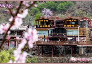 桃花雅居,一处以音乐和书为主题的特色民宿