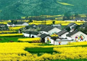 文化和旅游部：将有1000亿元意向性信用额度支持乡村旅游
