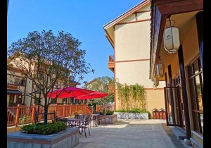 仲景里客栈：品仲景文化，赏汉唐风韵