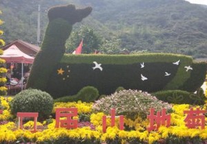 郑州：重阳登高，感受文化气息，寻找最美秋韵