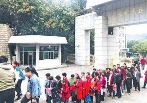 十一全国近8亿人出游！国内旅游收入超6千亿，河南消费最多山东第三