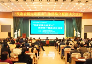 让民宿撬动乡村旅游发展，为乡村振兴注入持续动能——河南省文化和旅游厅组织开展“民宿发展走进罗山“活动