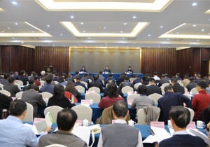 河南省召开节庆活动管理工作会