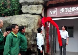 河南内乡:“党建+旅游+扶贫”模式开启经济发展“新引擎”