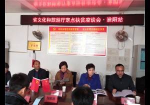 省文化和旅游厅党组书记宋丽萍到淮阳大朱村检查脱贫攻坚工作