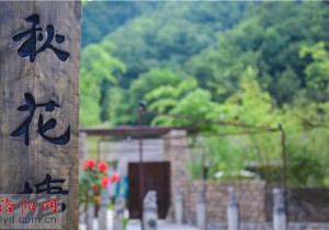 秋花塘：把日子过成“诗”的样子