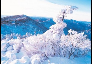 雪季已到，3.4亿人次的冰雪旅游正当时