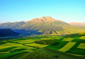新需求视角下，乡村旅居发展及产品创新对策