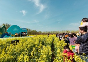一场Tricking秀，潮动封丘万亩油菜花海