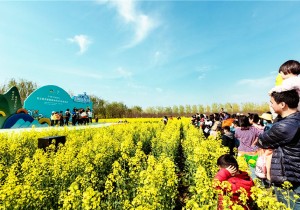 一朝春醒，万物清明——河南旅游正复苏回暖