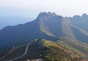 王笑宇：疫情过后，未来10年旅游市场的分水岭逐渐显现