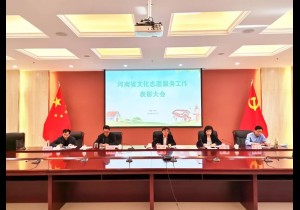 省文旅厅召开文化志愿服务工作表彰大会  2020年“寻找村宝”活动将继续开展