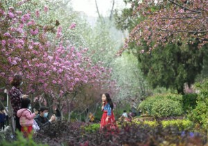 国务院：采取预约限流等方式开放影剧院，全面开放商场超市宾馆餐馆