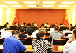 河南省文化和旅游厅召开“六稳”“六保”工作座谈会