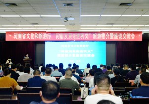 以民宿发展推动旅游产业加快迈入高质量发展的“快车道”——河南省文化和旅游厅组织开展“民宿发展走进巩义”活动