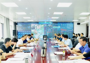 河南省文化和旅游厅召开“六稳”“六保”专题工作会议，加快推进文化旅游市场恢复提振