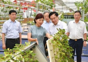 王国生在孟津调研沟域经济发展时强调：推动现代农业与乡村旅游深...