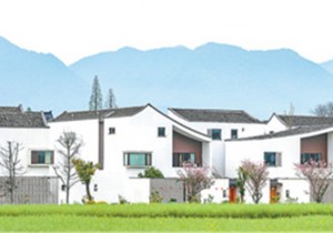 乡村振兴，艺术何为？