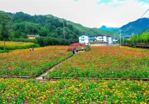 央媒观豫｜河南栾川：钼都“破茧”脱困 变身旅游大县